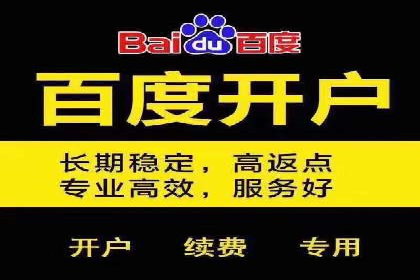 百度竞价推广公司成功案例揭秘：广告投放的五大误区与对策